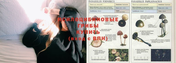 COCAINE Армянск