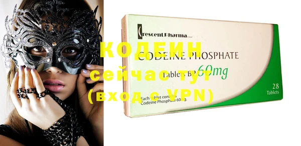 ECSTASY Кодинск