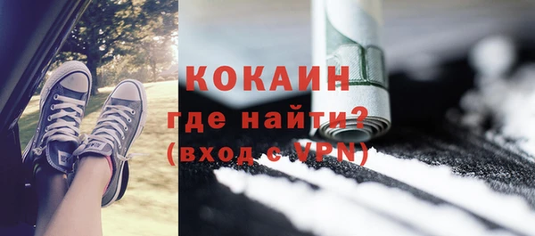 твердый Арсеньев