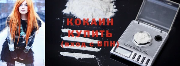 твердый Арсеньев