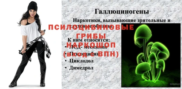 твердый Арсеньев