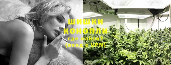 ПСИЛОЦИБИНОВЫЕ ГРИБЫ Заволжье
