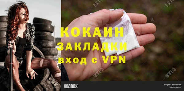 твердый Арсеньев